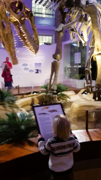 Perheiden retki Luonnontieteelliseen museoon TÄYNNÄ!