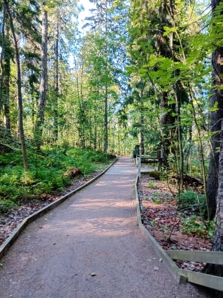 Perheiden luontokerho Kivinokassa -SIIRRETTY SATEEN VUOKSI UUTELAN KODALLE!