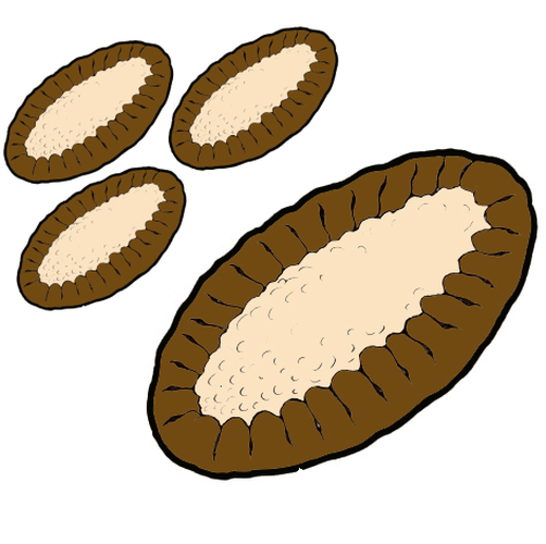 Maikki x Mononen: Karelian aarteet